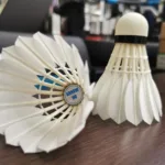 [Trial Pack] Arrow Feathers Shuttlecock - Image 3